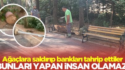 Bunları yapan insan olamaz! Beylikdüzü'ndeki parkta ağaçlara saldırıp bankları tahrip ettiler