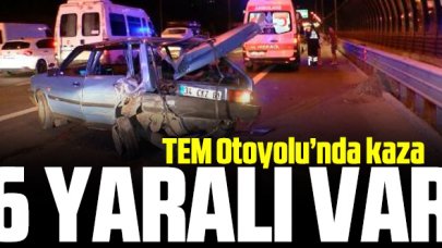 TEM Otoyolu'nda kaza: 3'ü çocuk 6 yaralı