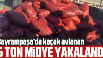 Bayrampaşa'da kaçak avlanan 6 ton midye yakalandı