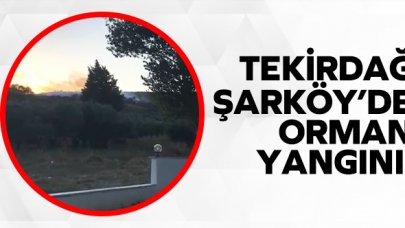 Tekirdağ Şarköy'de orman yangını