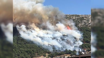 Hatay'da orman yangını