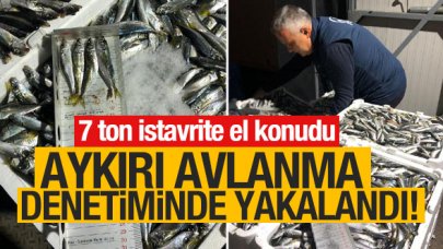 Aykırı avlanma denetiminde 7 ton istavrite el konuldu