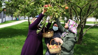 Tapu ve mülkiyet sorunu çözülüyor