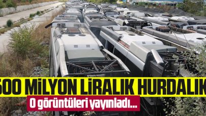 600 milyonluk hurdalık! İBB, çürümeye terkedilen 50 otobüsün fotoğrafını paylaştı