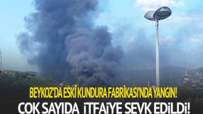 Beykoz'da eski kundura fabrikasında yangın