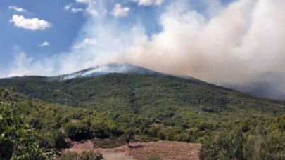 Tunceli'de örtü yangını