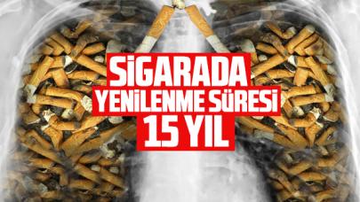 Sigarada vücudun yenilenme süresi 15 yıl!