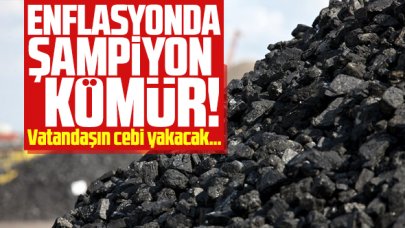 Eylül ayının enflasyon şampiyonu kömür