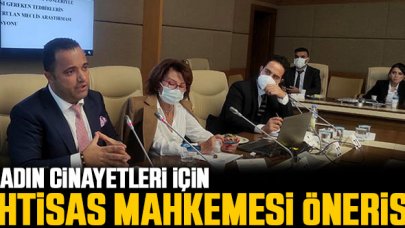 Kadına Yönelik Şiddetin Araştırılması Komisyonu'nda kadın cinayetleri için ihtisas mahkemesi önerisi