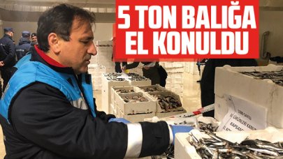 5 ton balığa el konuldu