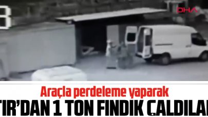 Büyükçekmece'de iş elbiseli hırsızlar TIR'dan 1 buçuk ton fındık çaldı