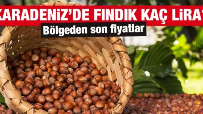 14 Ekim 2021 Perşembe fındık fiyatları | Fındık kaç lira? Güncel fındık fiyatı