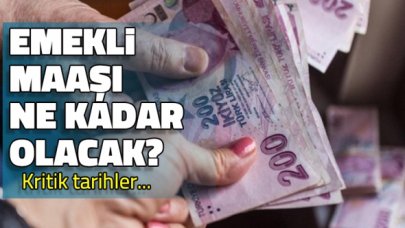 Emekli maaşı kaç lira olacak? Kritik tarihler bekleniyor...