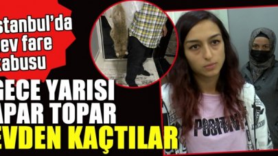 İstanbul'da fare kabusu! Gonca Çilesiz ve ailesi apar topar evi terk etti