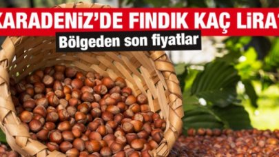 19 Ekim 2021 Salı fındık fiyatları | Fındık kaç lira? Güncel fındık fiyatı