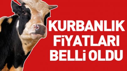 2018 Kurbanlık fiyatları belli oldu! Kurban eti kilosu kaç lira