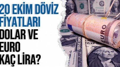 20 Ekin 2021 Çarşamba dolar ve euro kaç lira? Dolar ve euro fiyatları