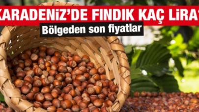 22 Ekim 2021 Cuma fındık fiyatları | Fındık kaç lira? Güncel fındık fiyatı