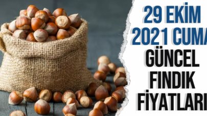 29 Ekim 2021 Cuma fındık fiyatları | Fındık kaç lira? Güncel fındık fiyatı