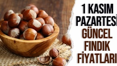 1 Kasım 2021 Pazartesi fındık fiyatları | Fındık kaç lira? Güncel fındık fiyatı