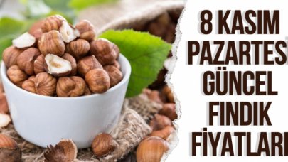 8 Kasım 2021 Pazartesi fındık fiyatları | Fındık kaç lira? Güncel fındık fiyatı