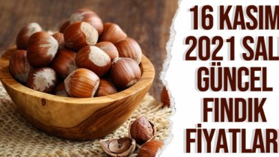 16 Kasım 2021 Salı fındık fiyatları | Fındık kaç lira? Güncel fındık fiyatı