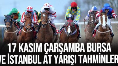 17 Kasım 2021 Çarşamba İstanbul ve Bursa At Yarışı Tahminleri (izle) - TAY TV ve TJK TV