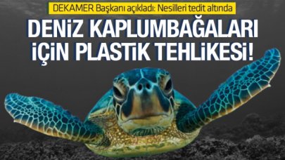 Deniz kaplumbağaları için plastik tehdidi