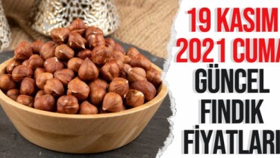 19 Kasım 2021 Cuma fındık fiyatları | Fındık kaç lira? Güncel fındık fiyatı