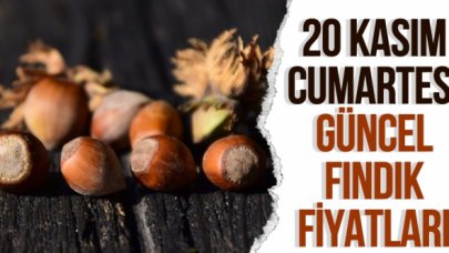 20 Kasım 2021 Cumartesi fındık fiyatları | Fındık kaç lira? Güncel fındık fiyatı