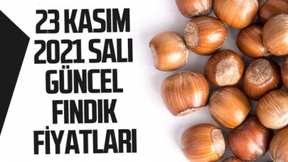 23 Kasım 2021 Salı fındık fiyatları | Fındık kaç lira? Güncel fındık fiyatı