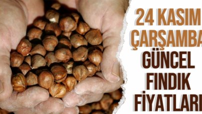 24 Kasım 2021 Çarşamba fındık fiyatları | Fındık kaç lira? Güncel fındık fiyatı