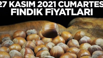 27 Kasım 2021 Cumartesi fındık fiyatları | Fındık kaç lira? Güncel fındık fiyatı