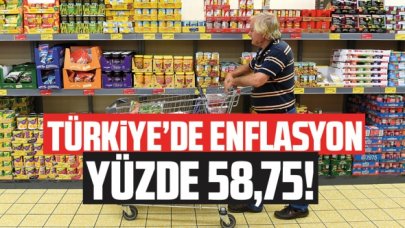 Dünyaca ünlü iktisatçı Hanke: Türkiye'de enflasyon oranı yüzde 58,75