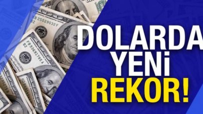 Dolar tarihi zirvesini yeniledi