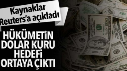 Reuters: Hükümet dolar/TL’nin 9 seviyesine düşmesini bekliyor