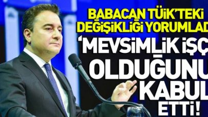 Ali Babacan'dan, TÜİK'deki görev değişikliğe ilk yorum: Mevsimlik işçi olduğunu itiraf etti