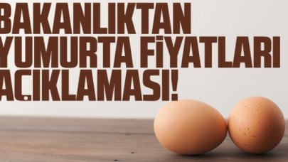 Ticaret Bakanlığı'ndan 'yumurta' fiyatları açıklaması