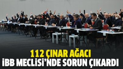 112 çınar ağacı sorun çıkardı!