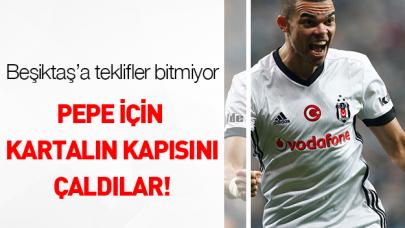 Pepe'ye talipler var!