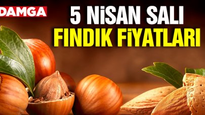 Fındık kaç lira? 5 Nisan 2022 Salı güncel fındık fiyatları