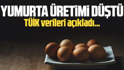 Türkiye'de yumurta üretimi düştü