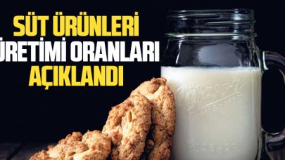 Süt ürünleri üretimi oranları açıklandı