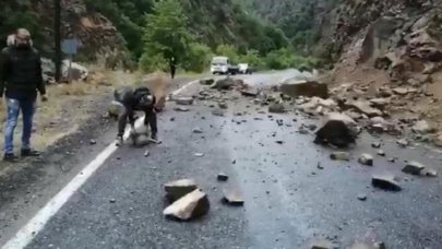 Artvin'de kayaların düştüğü yol, ulaşıma kapandı