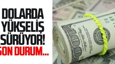 Dolar durdurulamıyor: 15,34'ü gördü!