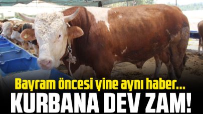 Kurbana dev zam geliyor