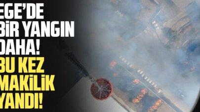 Ege'de bir yangın daha! Bergama'da makilik alan yandı