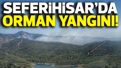 İzmir Seferihisar'da orman yangını çıktı