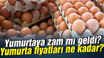 2022 yumurta kaç lira oldu? Yumurtaya zam mı geldi? Bir koli yumurta fiyatı