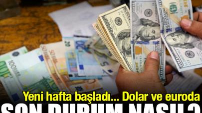 Dolar ve euro kaç lira? 13 Ağustos 2018 Pazartesi fiyatları